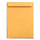 Temrex  X-Ray Envelopes 500/Box (950-0849224)
