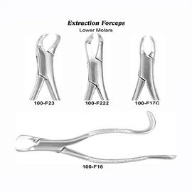USA Delta Extraction Forceps Ea (EFLMUSAD)