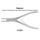 USA Delta Rongeurs Dental Instruments (100-RBEY )