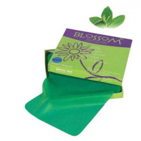 Blossom Dental Dam Box